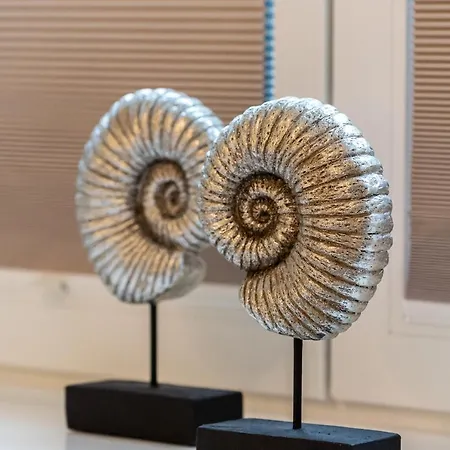 Sylter Sonnentraum